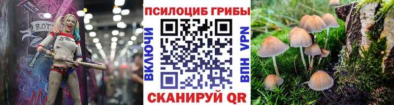 Псилоцибиновые грибы Magic Shrooms  Купить где  Нея 